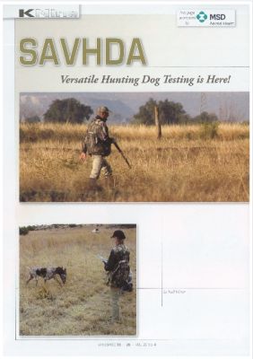 SAVHDA article in Wingshooter Vol22 no 4 page 28 - 31